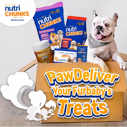 NutriChunks Social Media Marketing