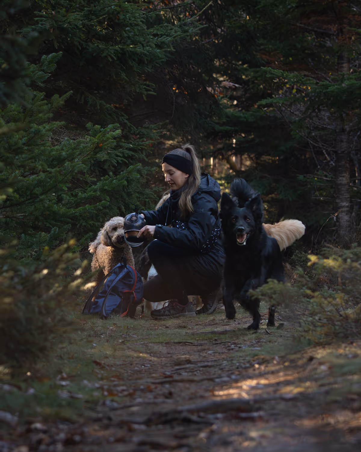 Woman in outdoor gear kneeling on a forest path giving water to a curly-haired dog while a black dog runs towards the camera.
