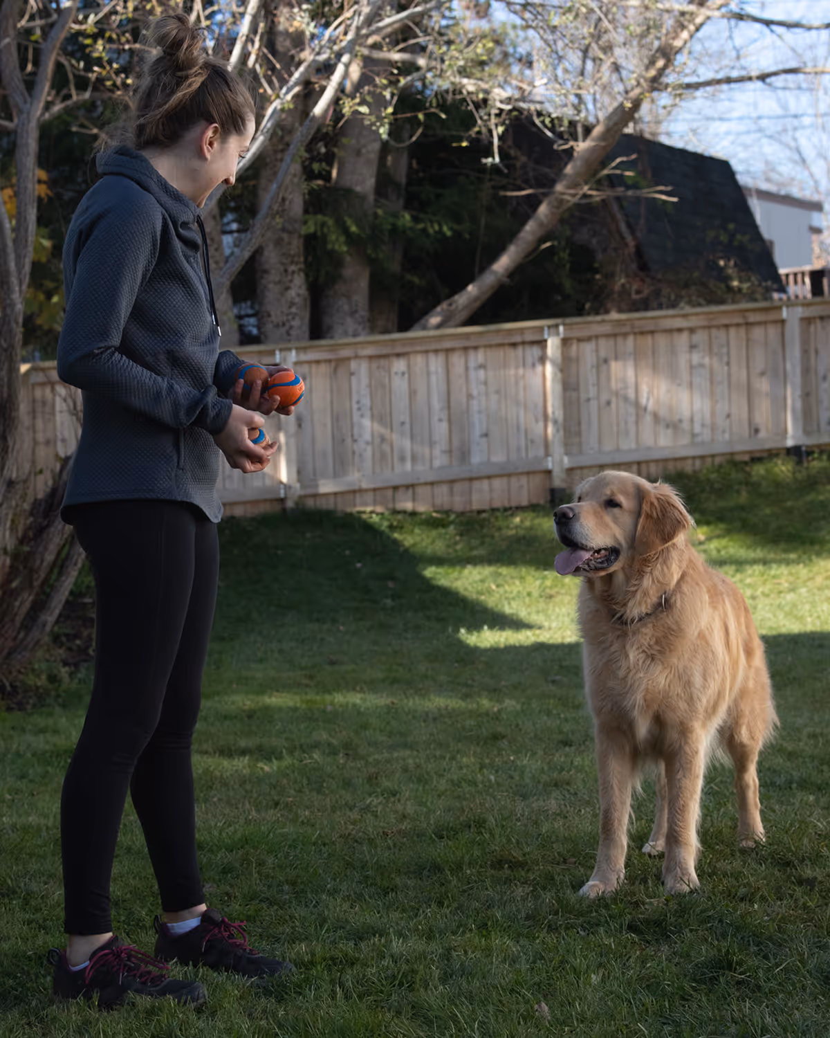 Woman in black leggings and jacket holding orange and blue balls playing with a golden retriever in a backyard.