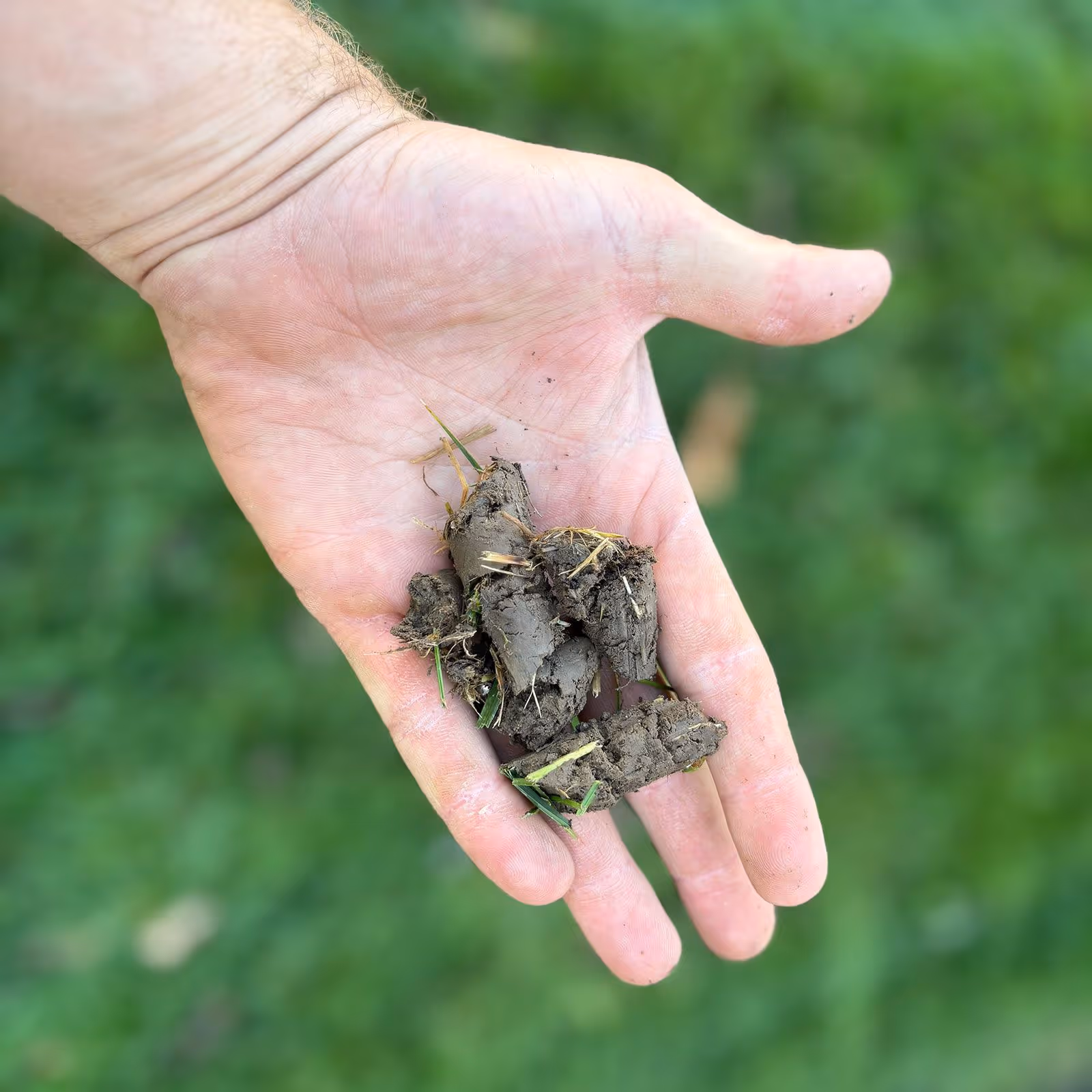 Yard clean up near me removing leaves and debris for a tidy, fresh lawn
