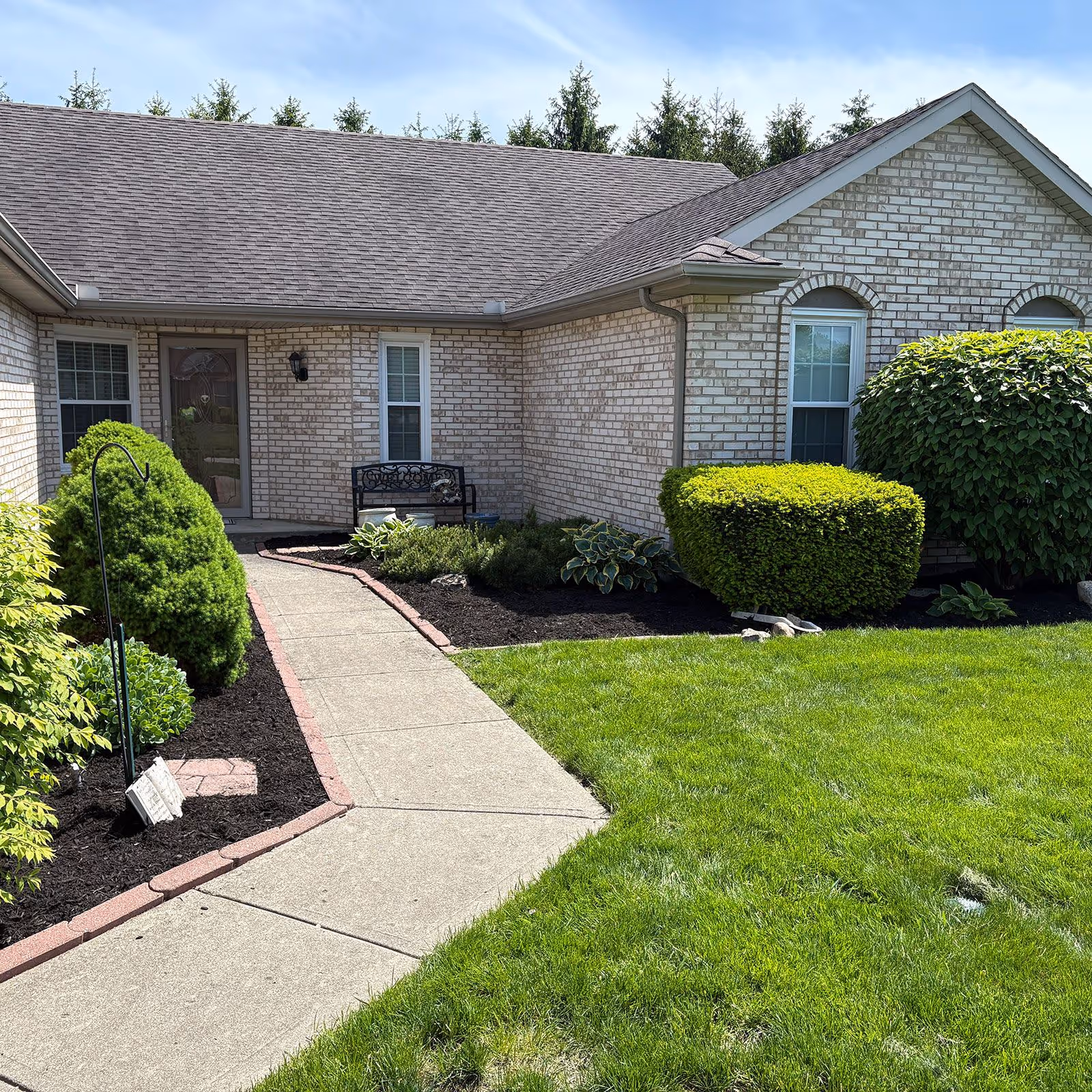 Precision edging along sidewalks for a crisp, well-maintained yard