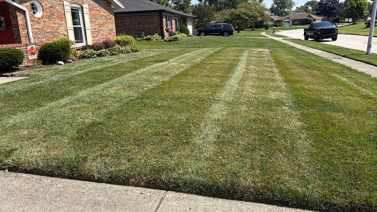 Professional lawn care near me with precise mowing and clean edging
