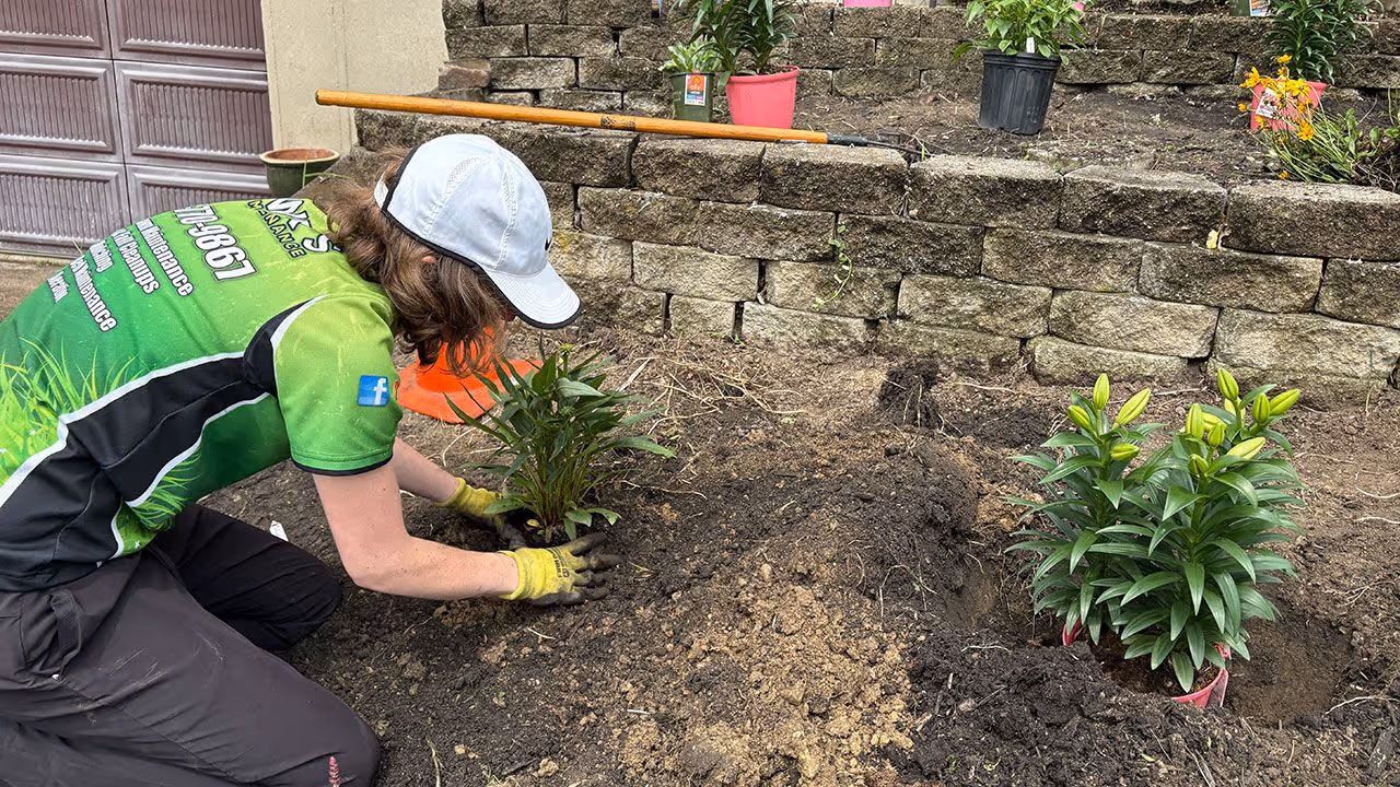 Softscaping installation near me with new plants and fresh bed design