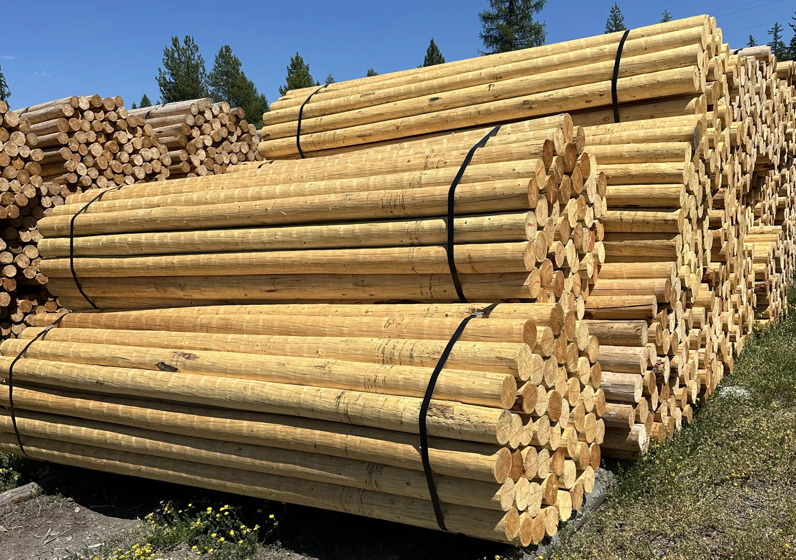 Stacks of neatly bundled wooden logs secured with black straps outdoors under a clear blue sky.