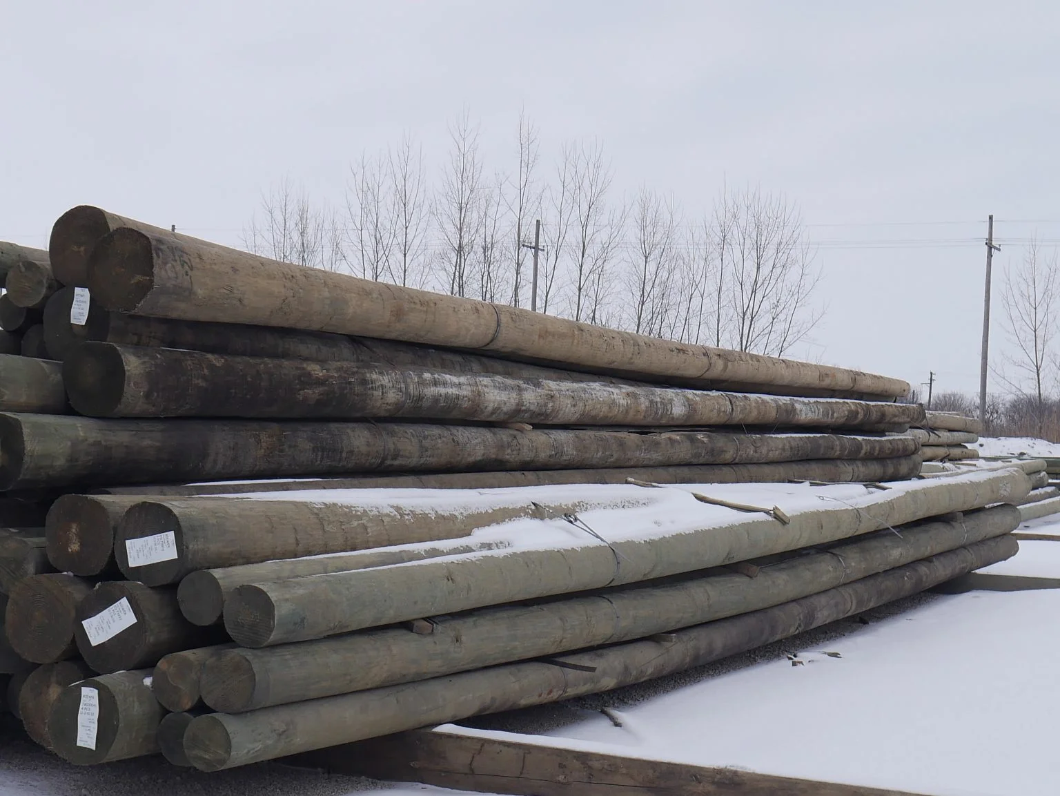 Stacks of long wooden utility poles covered with some snow, outdoors on a snowy ground with leafless trees and utility poles in the background.