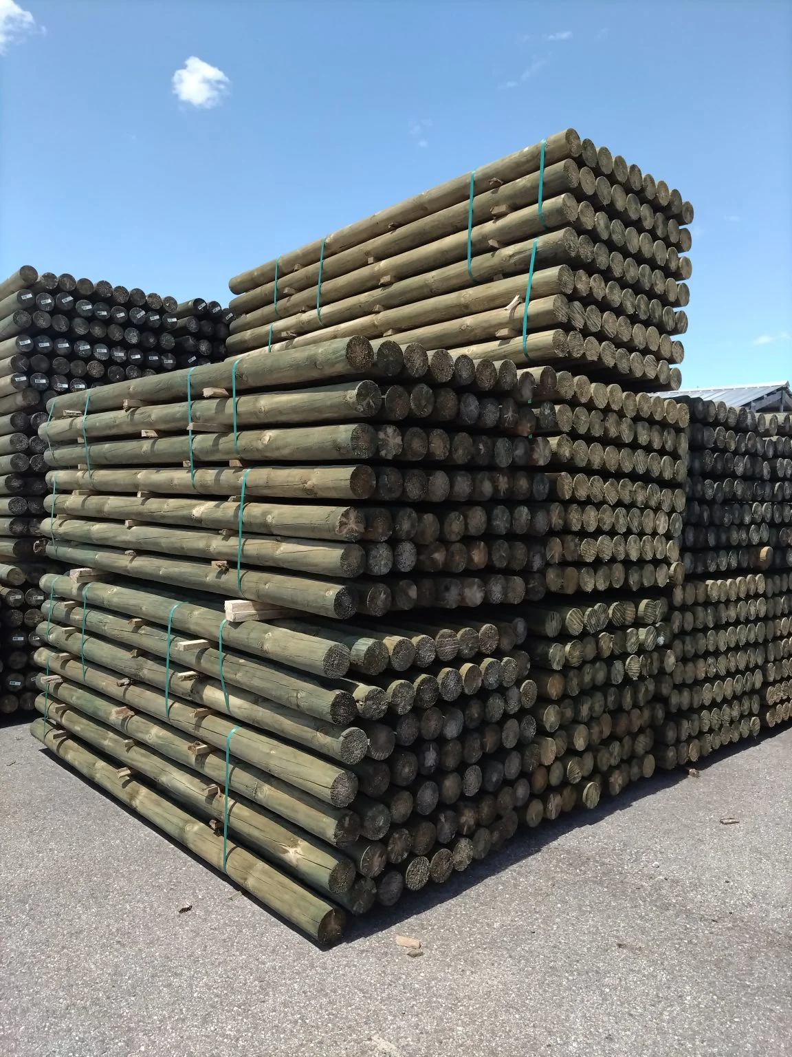 Stacks of bundled wooden poles secured with green straps under a clear blue sky on a paved surface.
