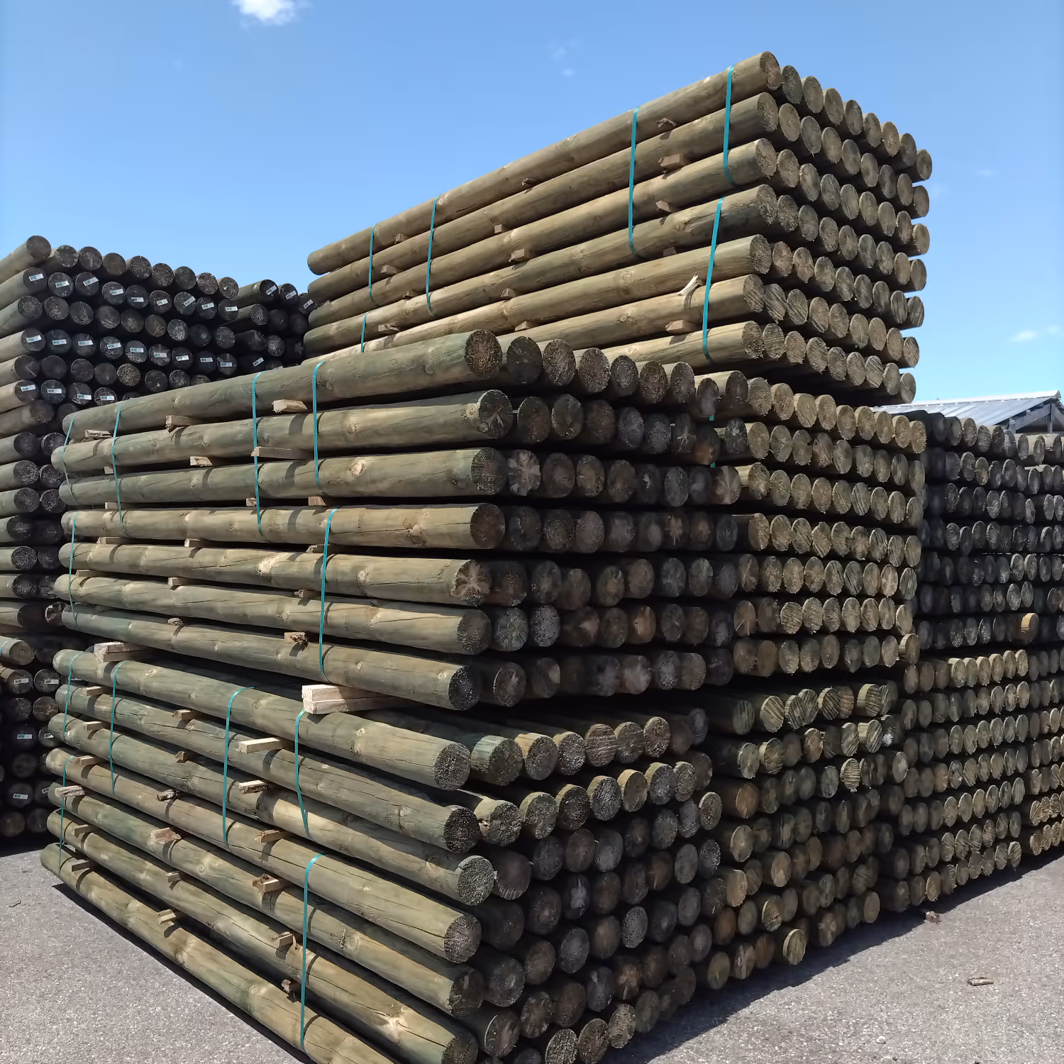 Large stacks of bundled green treated wooden poles outdoors under a clear blue sky.