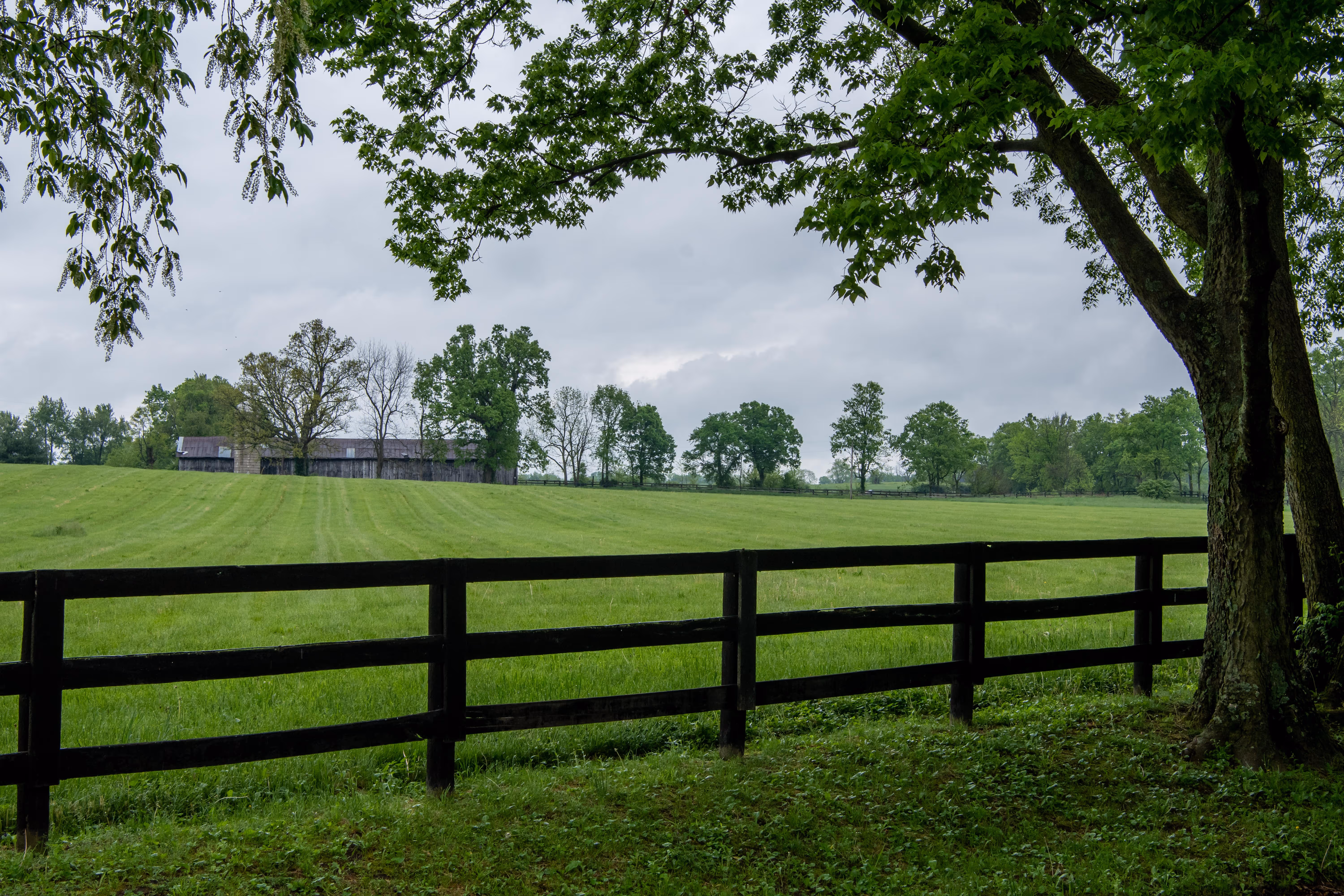 Green field with a black wooden fence in the foreground, trees framing the scene, and a rustic barn under an overcast sky.