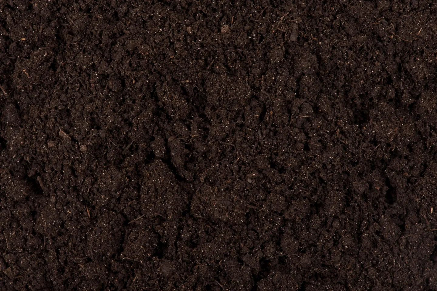 Close-up of dark, rich soil with a crumbly texture.