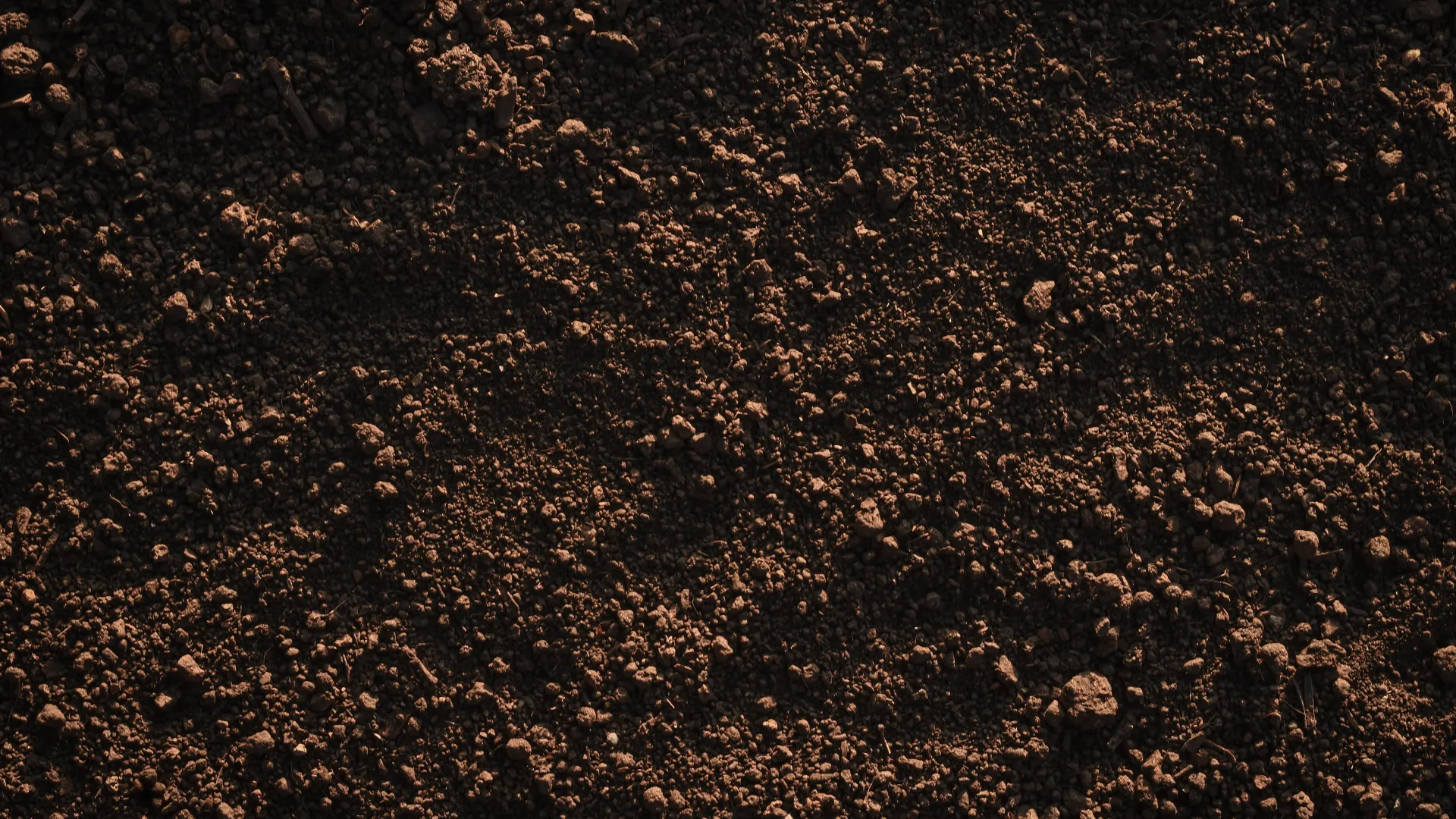 Close-up view of dark, loose soil with small clumps and granules.