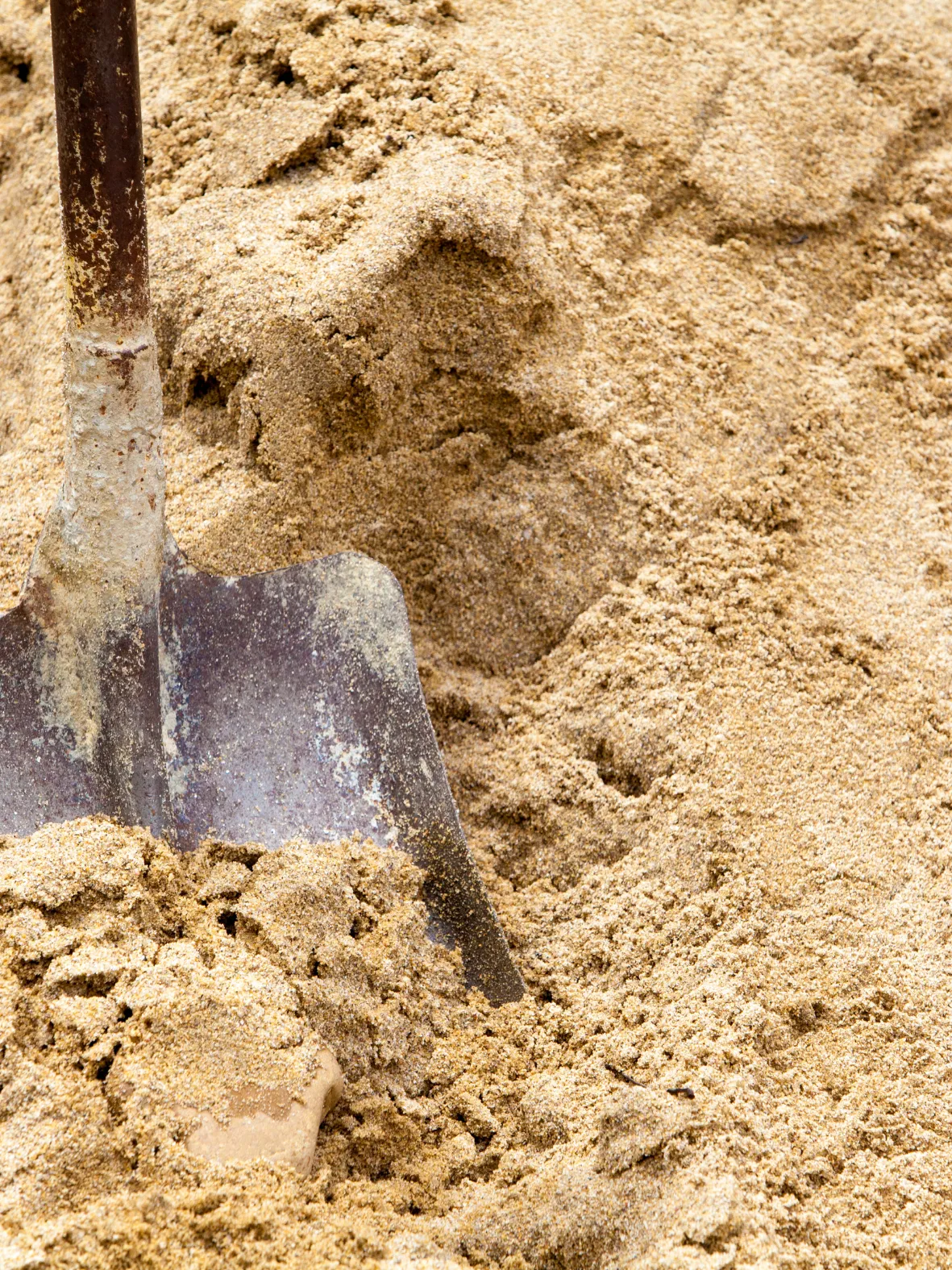 Rusty shovel partially embedded in a pile of light brown sand.