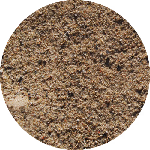 Close-up view of fine, light brown sand with small dark and light granules.