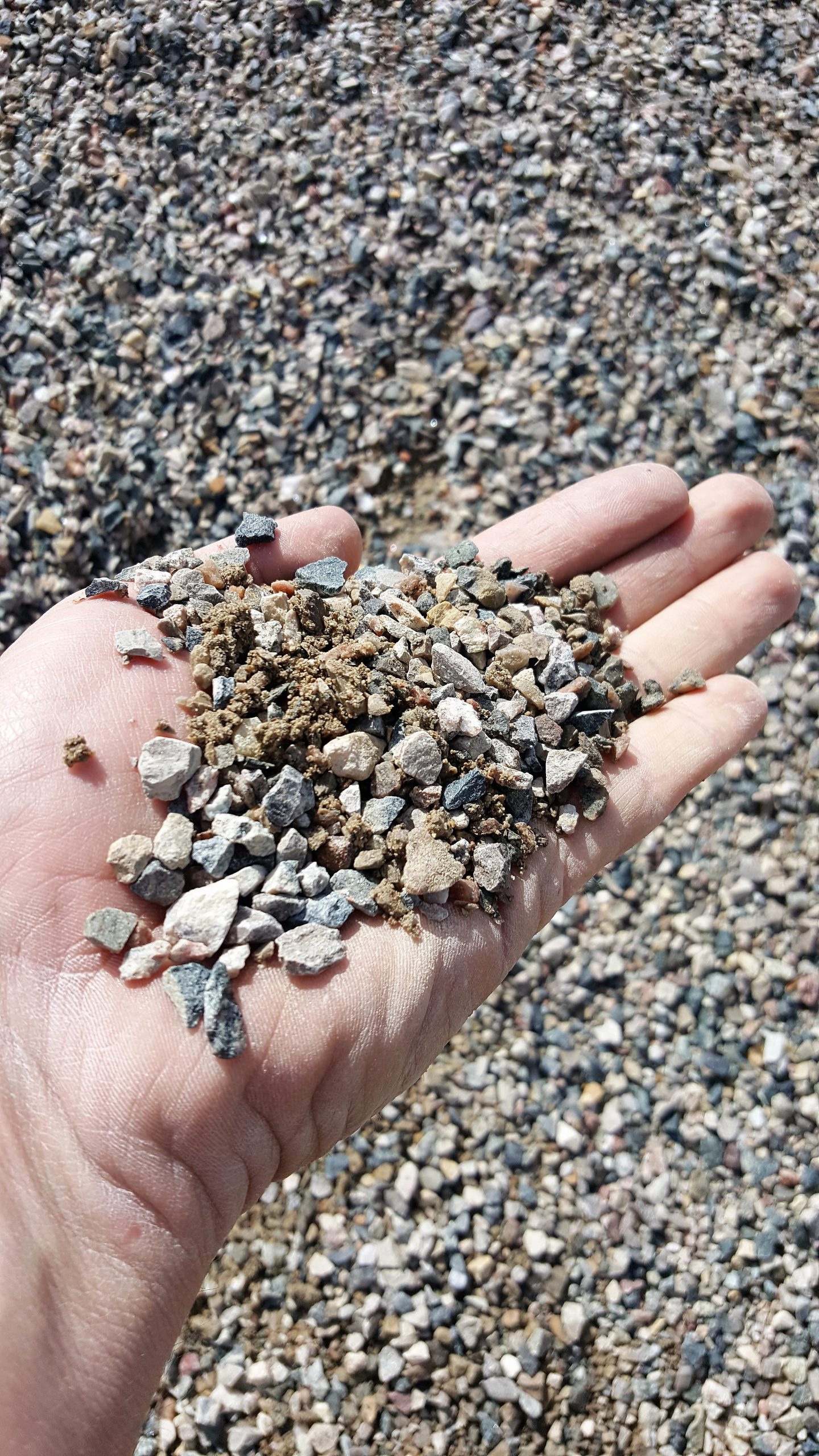 Hand holding a mix of small gravel and dirt with a ground covered in similar gravel in the background.