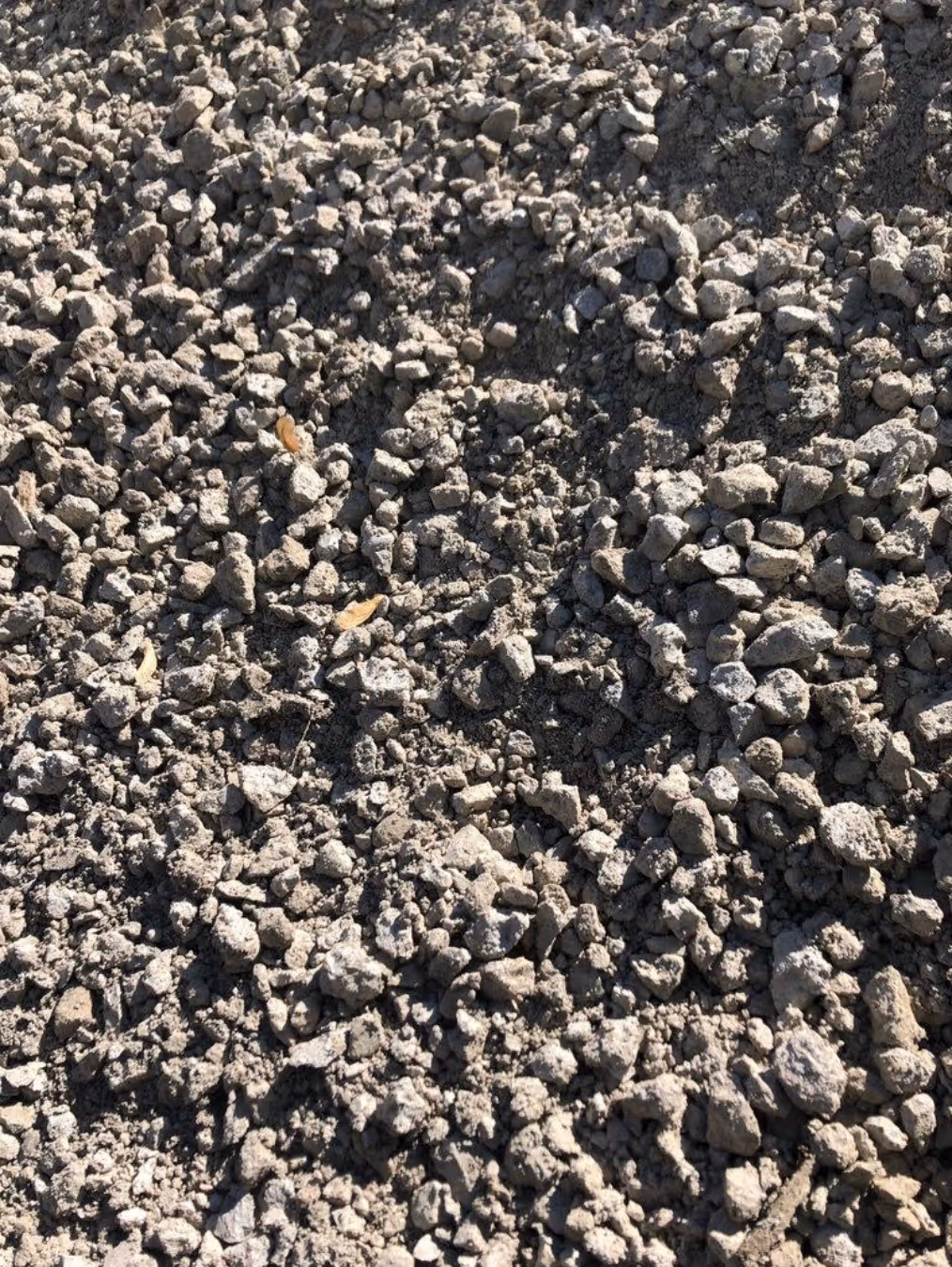 Close-up of dry, rocky soil with small stones and scattered tiny leaves.