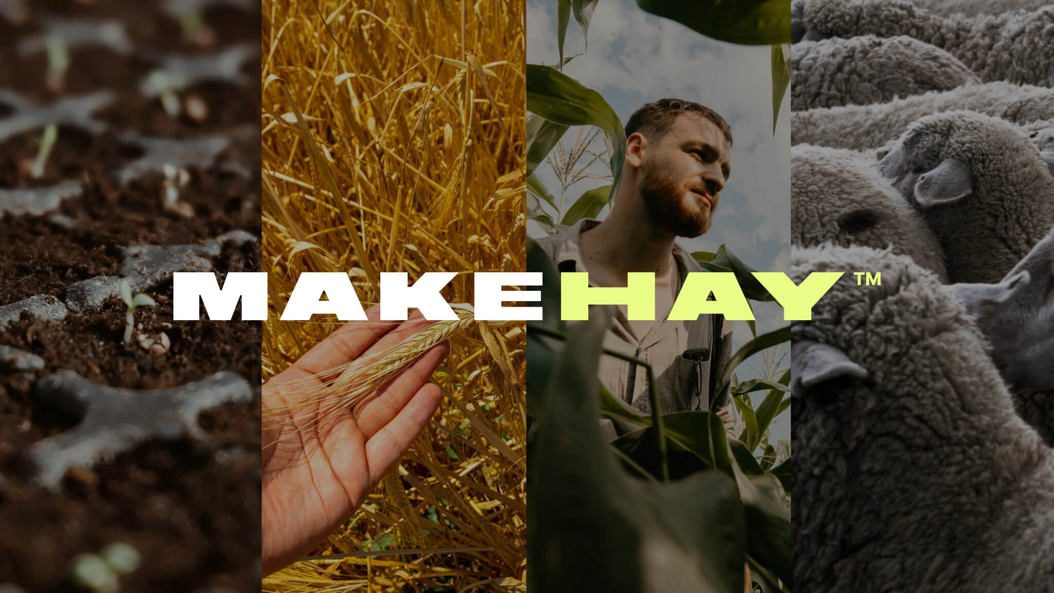 Make Hay