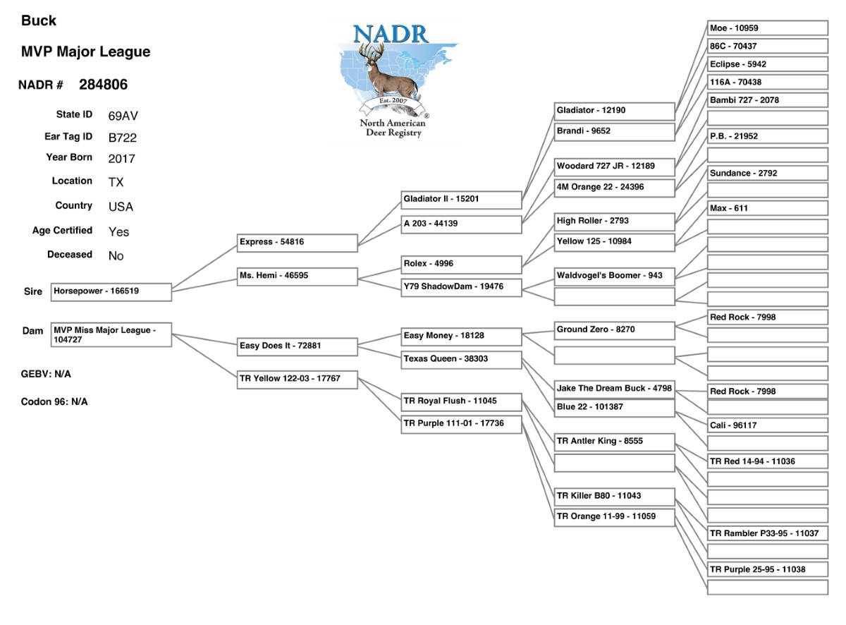 Major League pedigree