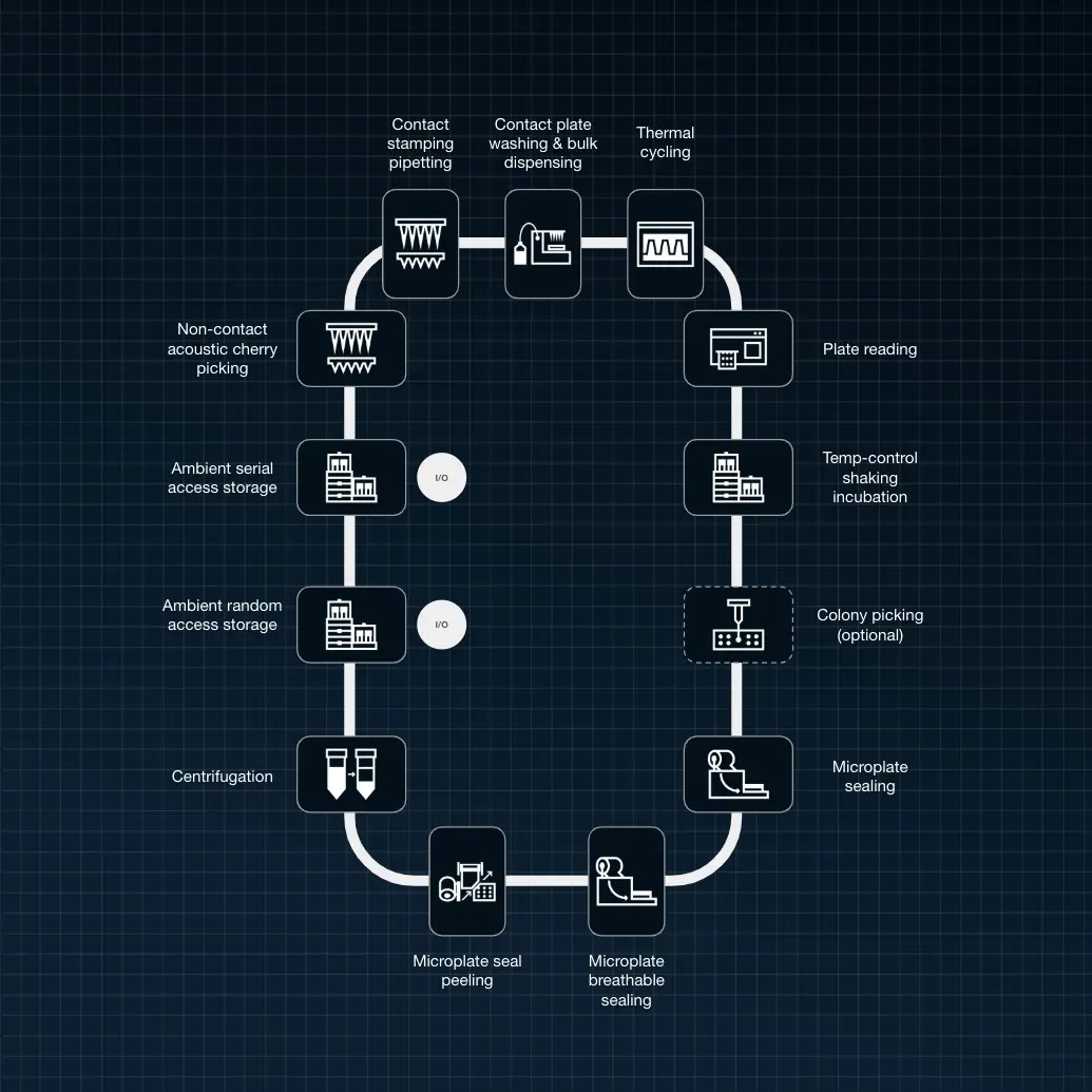a blueprint for a DNA assembly RAC system