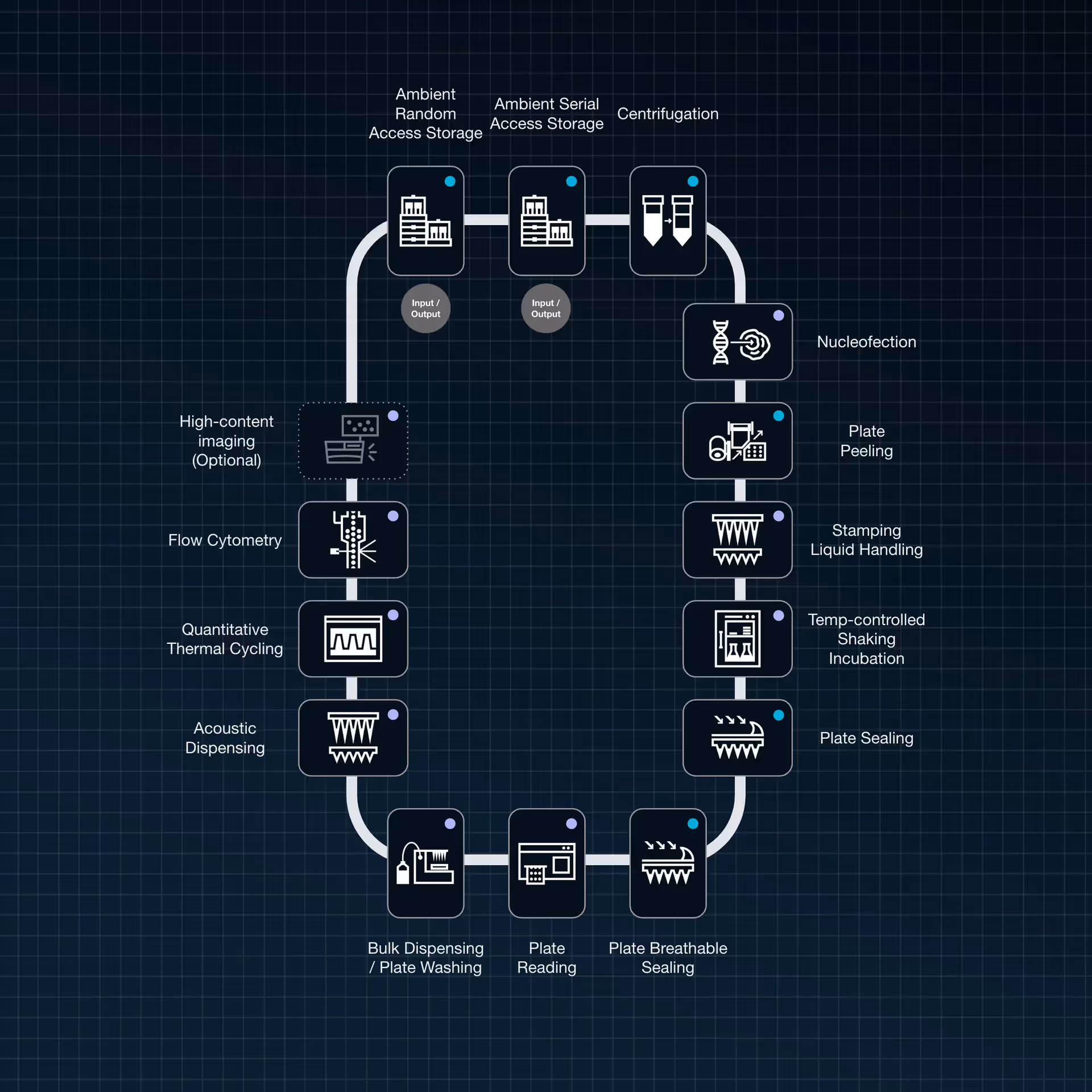 a blueprint for a mammalian RAC system