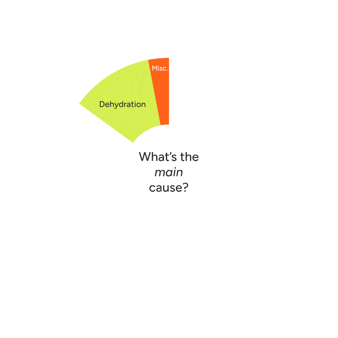HangoverCauses Chart