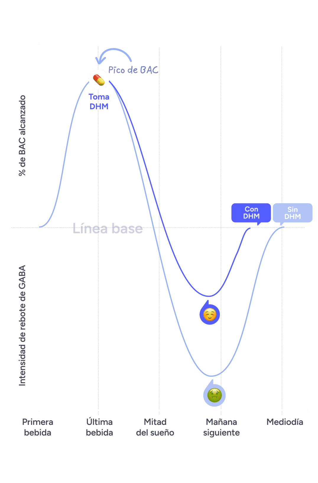 GABA rebound with and without DHM 