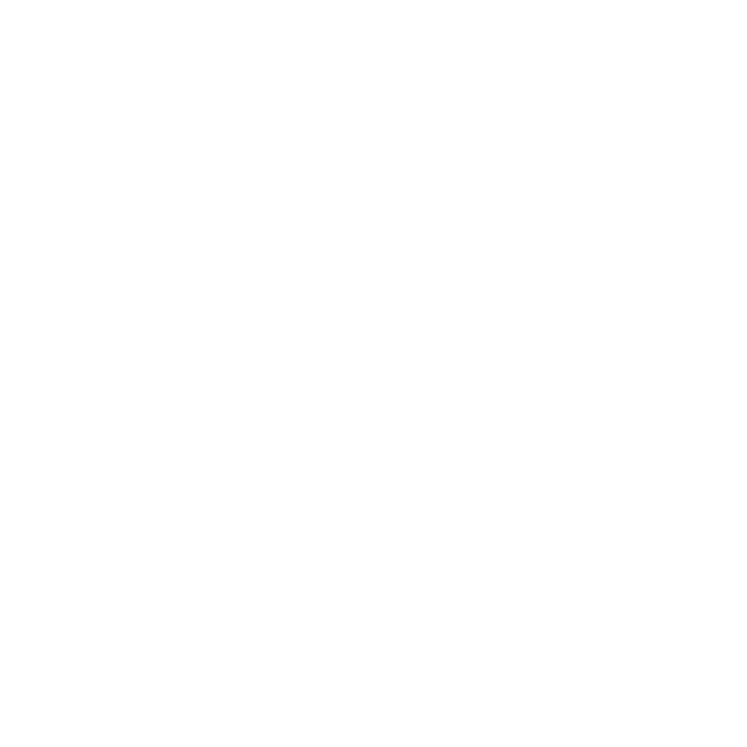 Rebel Sport