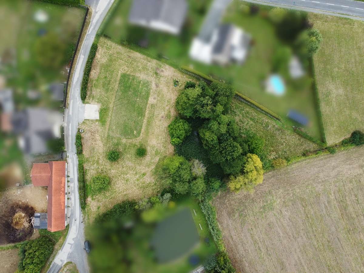 Luftbild eines ländlichen Gebiets mit Gebäuden, Grünflächen, Straße und kleinem Waldstück