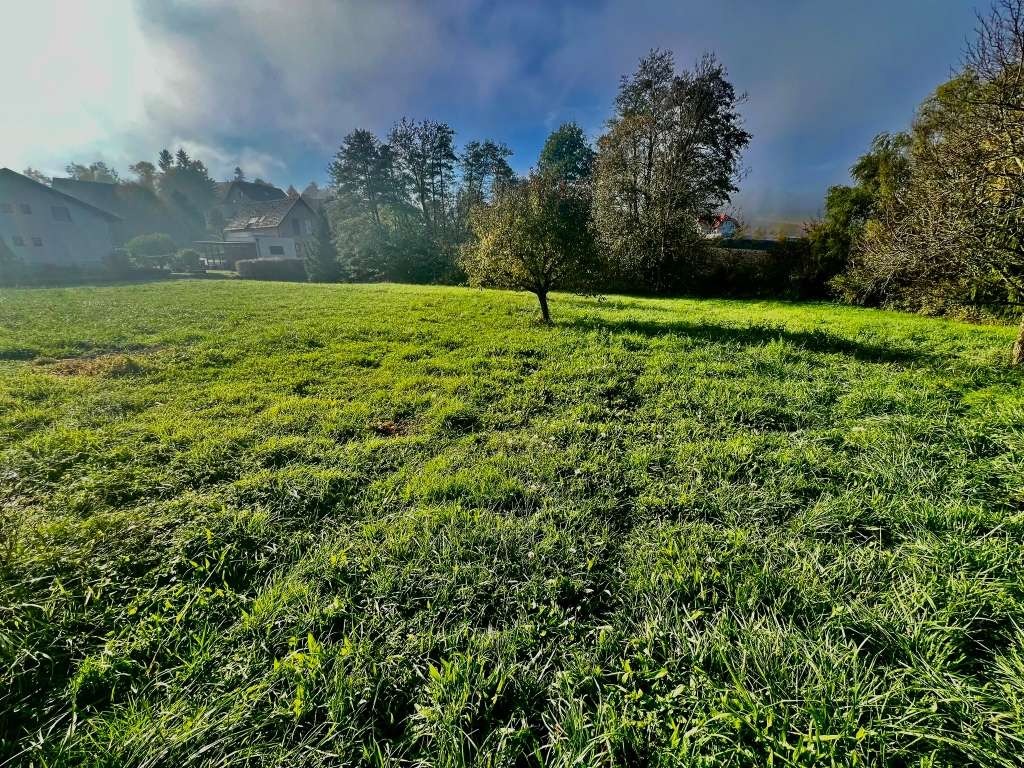 Weitläufiges Baugrundstück mit einzelnem Baum, umgeben von Häusern und Bäumen in ländlicher Umgebung