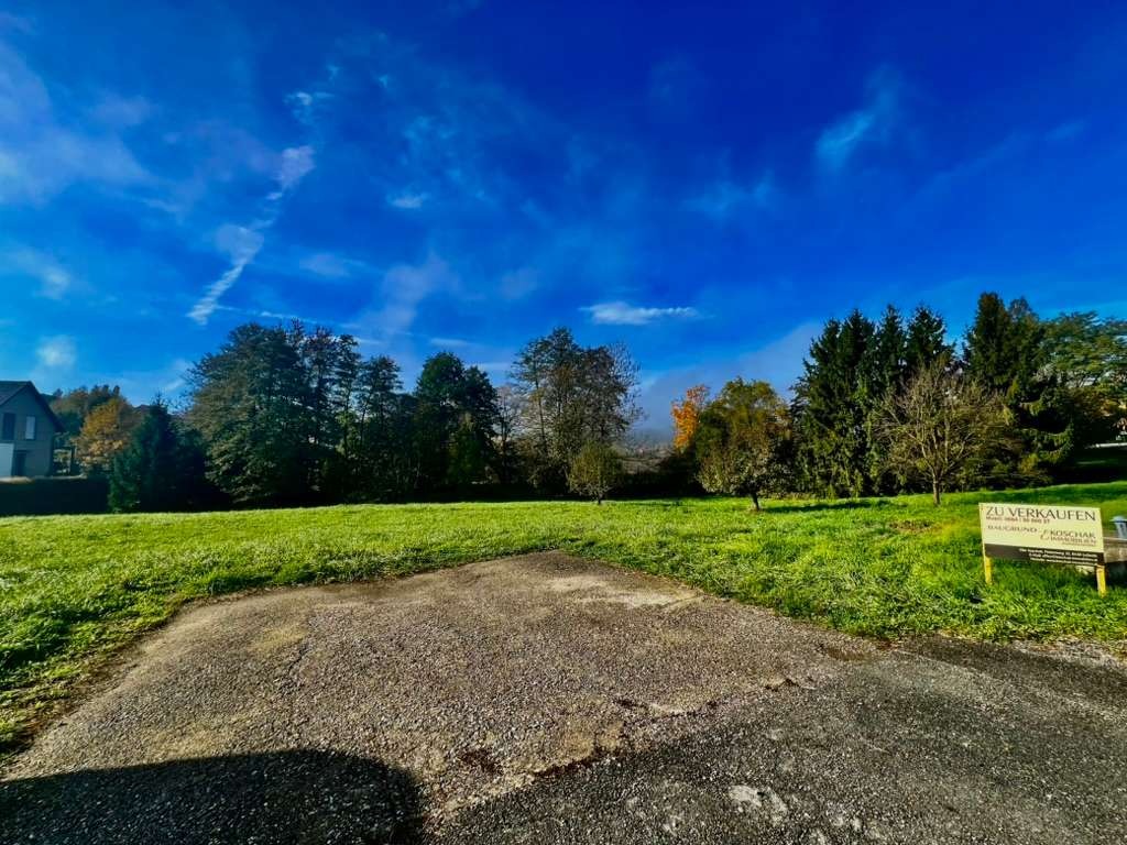 Freies Baugrundstück mit Wiese, Bäumen und Zu-verkaufen-Schild in Spielfeld