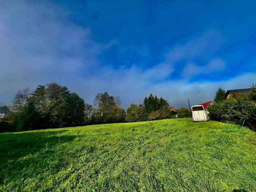 Wiese des Baugrundstücks mit Anhänger, Bäumen und Gebäuden im Hintergrund