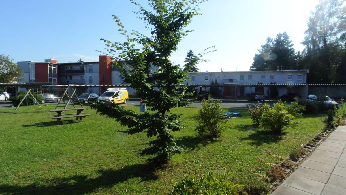 Grünfläche mit Baum und Büschen vor den Wohngebäuden und Parkplätzen