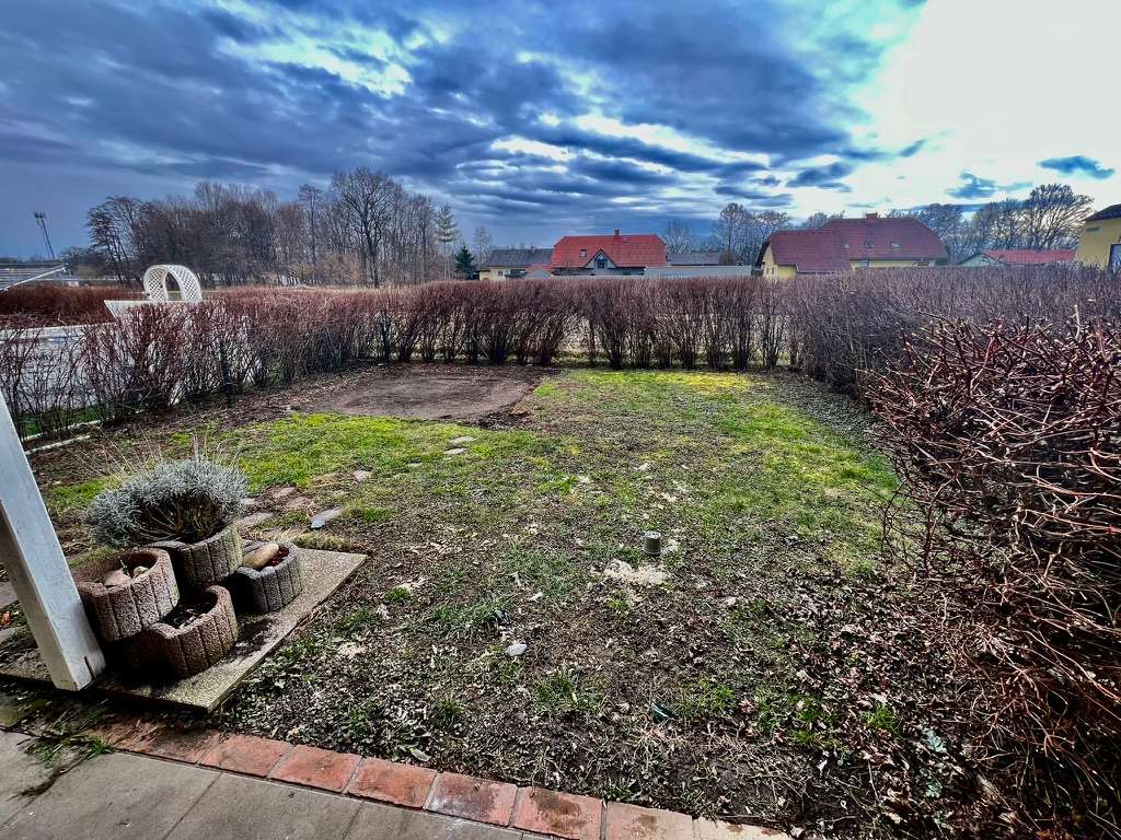 Gartenfläche der Maisonettewohnung mit Rasen und Sträuchern