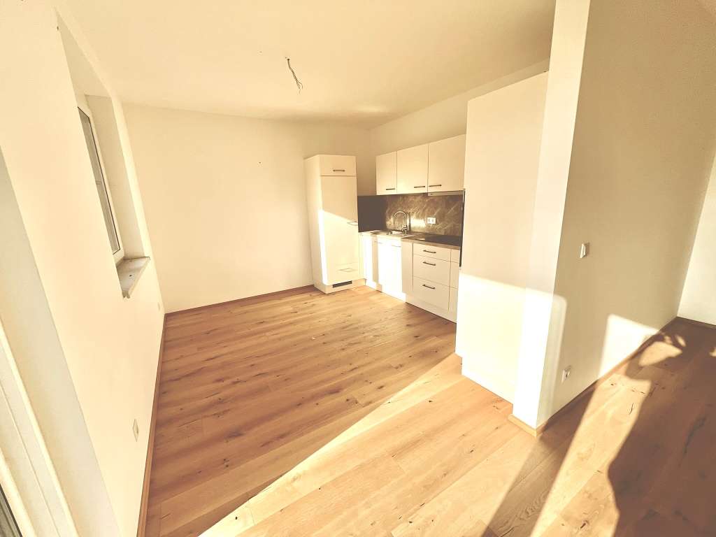 Moderner Raum mit kleiner Einbauküche und Holzboden