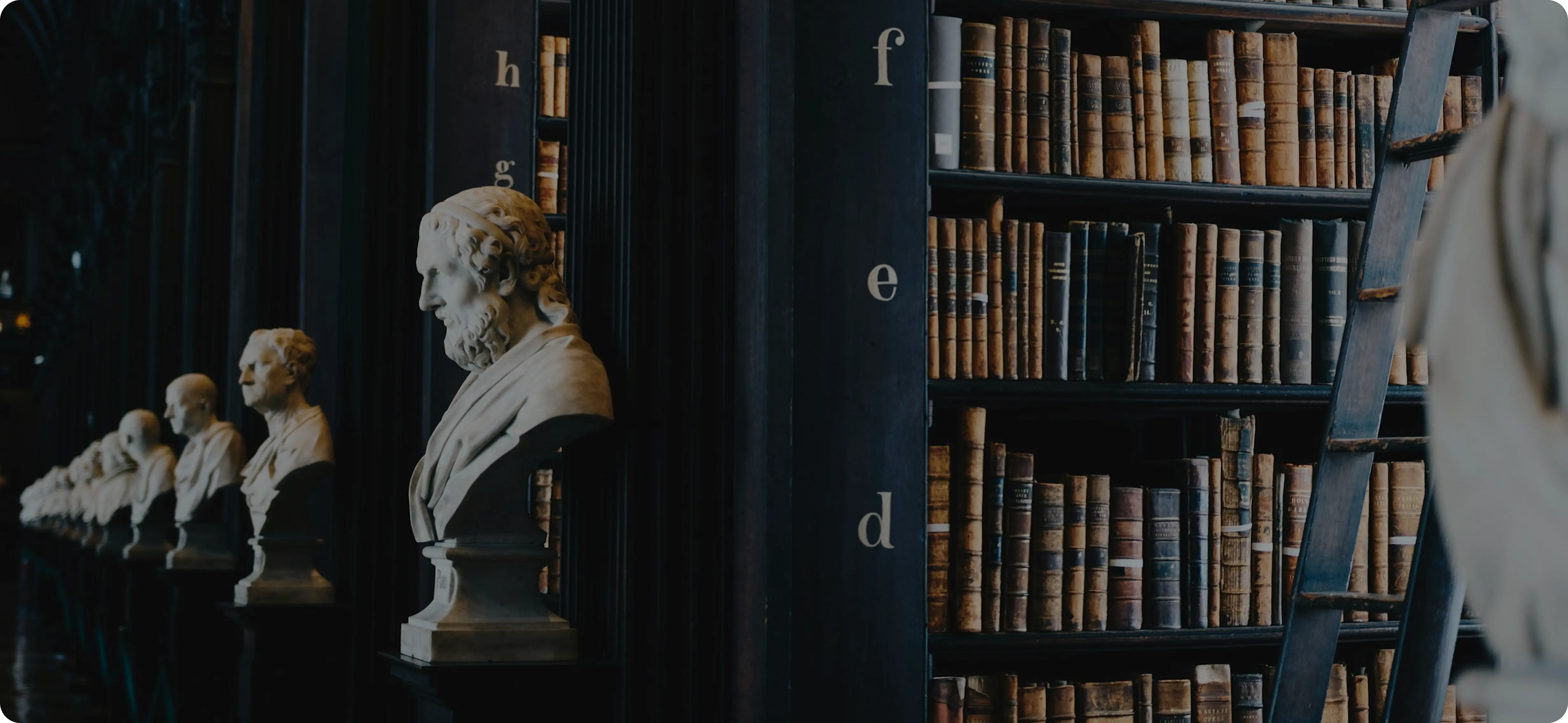 Row of classical marble busts along a dark library wall with shelves filled with old leather-bound books and a wooden ladder.