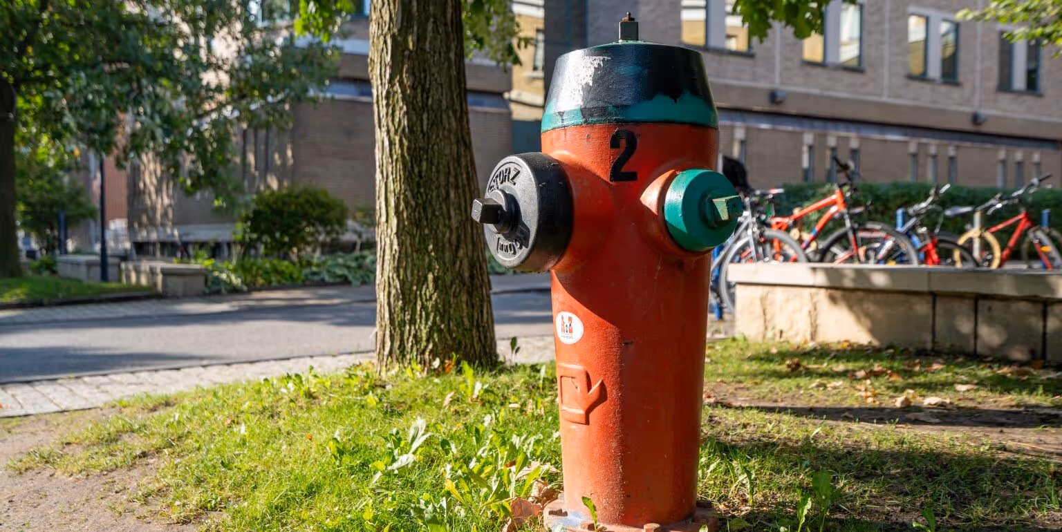 Red fire hydrant with black and green caps, number 2, on grass near tree and bike racks.