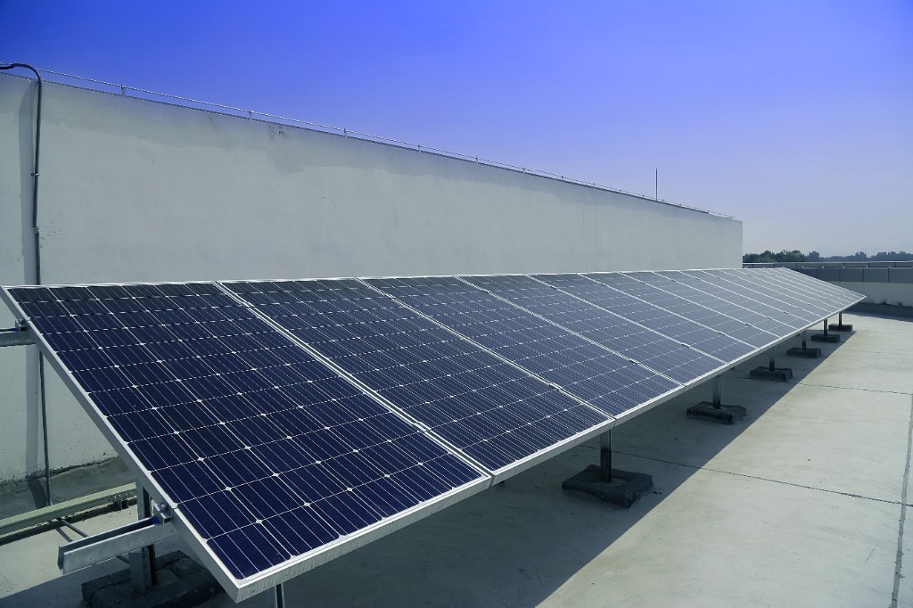 Rooftop solar array installed beside a plant wall