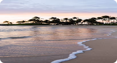 Calm shoreline at sunset with gentle waves washing onto the sandy beach and palm trees silhouetted against the sky.