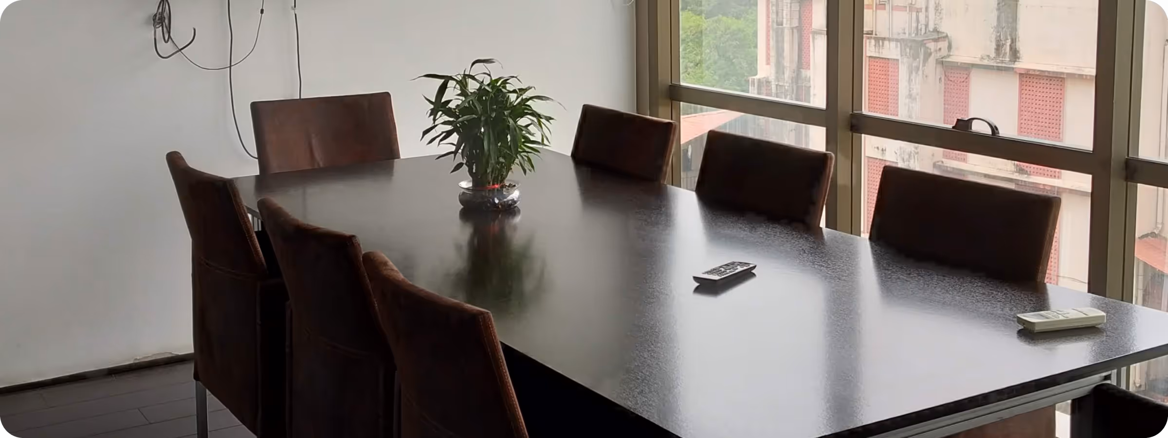 Conference room with a black table, six brown chairs, a potted plant centerpiece, and two remote controls on the table by large windows.