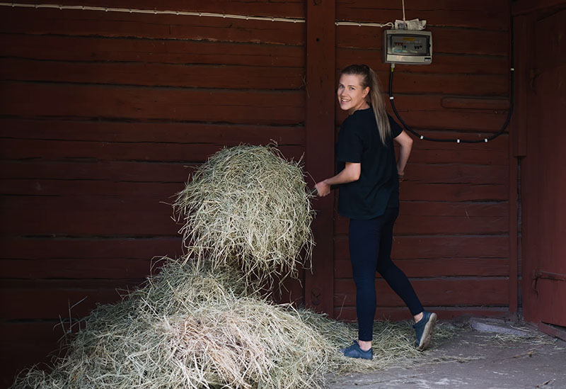 Alpakka katsoo turpa edella kameraan.