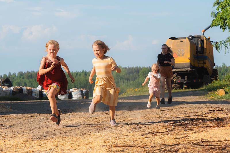 Alpakka katsoo turpa edella kameraan.