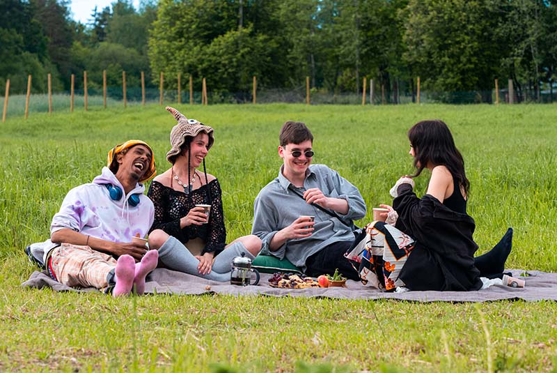 Alpakka katsoo turpa edella kameraan.