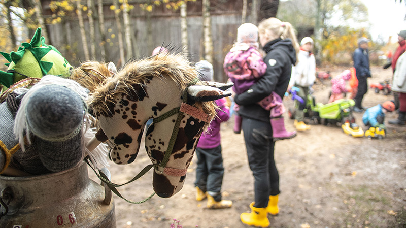 Alpakka katsoo turpa edella kameraan.