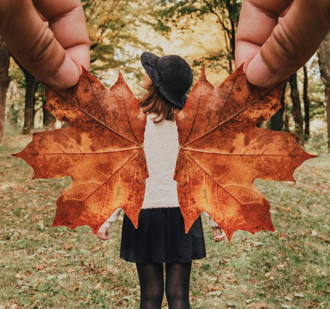 Child wearing a black hat and skirt stands in a park holding two large autumn leaves as wings.