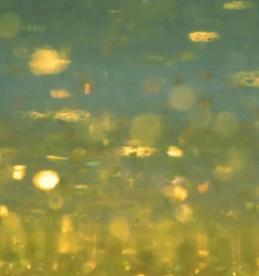 Yellow and green abstract background with bokeh light effects.