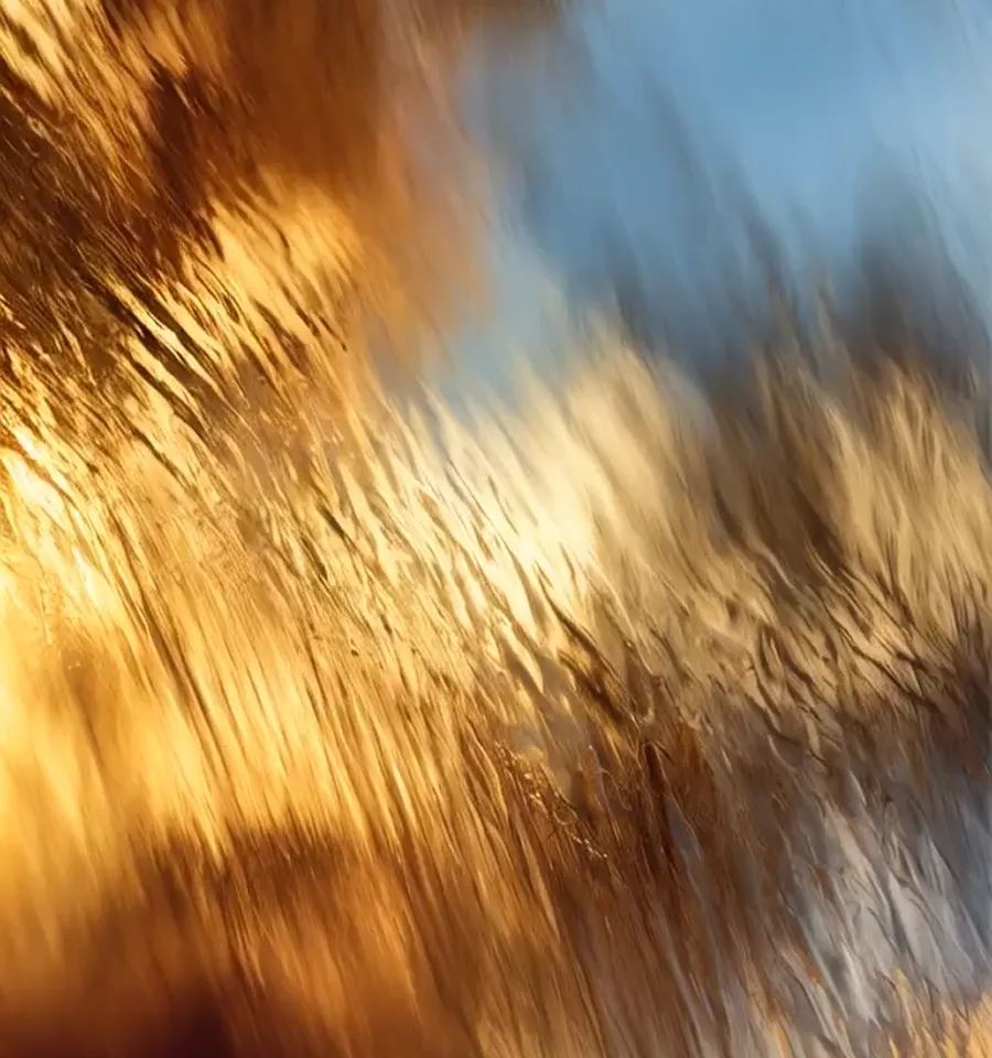 A blurry photo of a sky and trees.