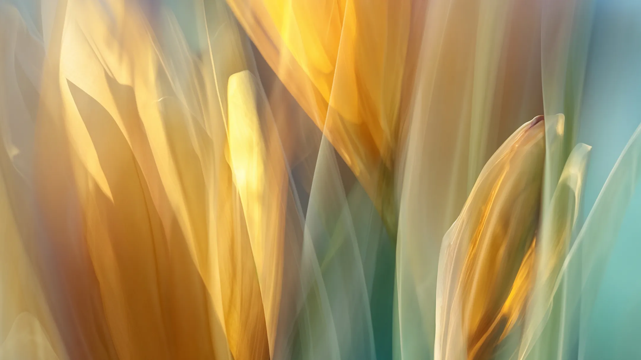 Abstract blurred image of yellow and green flower petals with soft light.