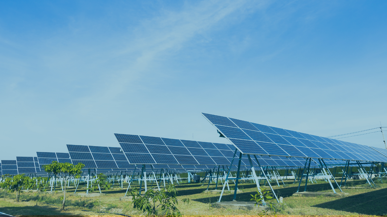 Hedgin Channel Dashboard