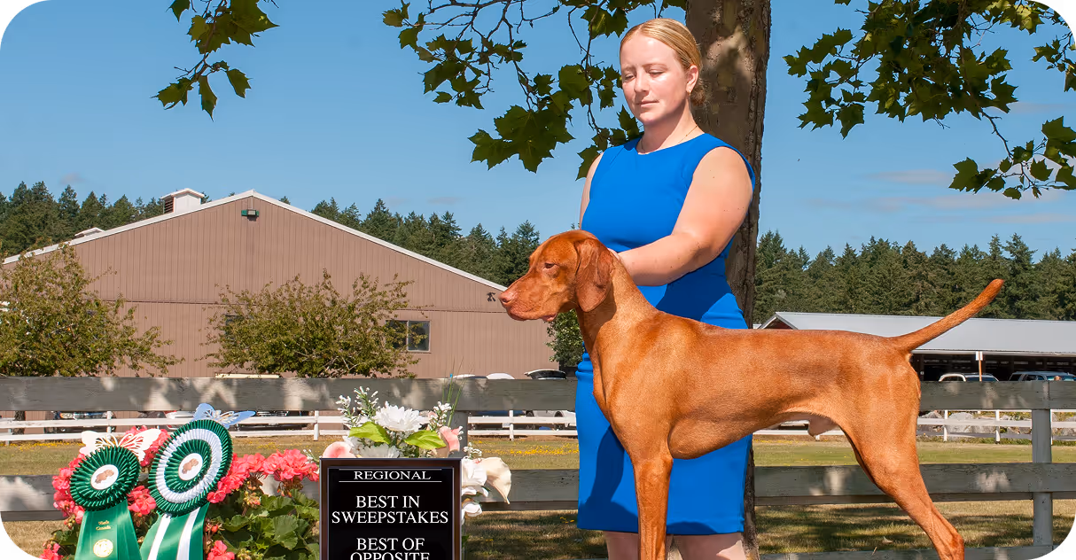 Woman in blue dress standing with a brown dog by a fence with award ribbons and a plaque reading 'Best in Sweepstakes Best of Opposite.'