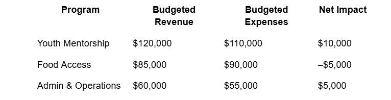 Example nonprofit program budget table showing Youth Mentorship, Food Access, and Admin allocations