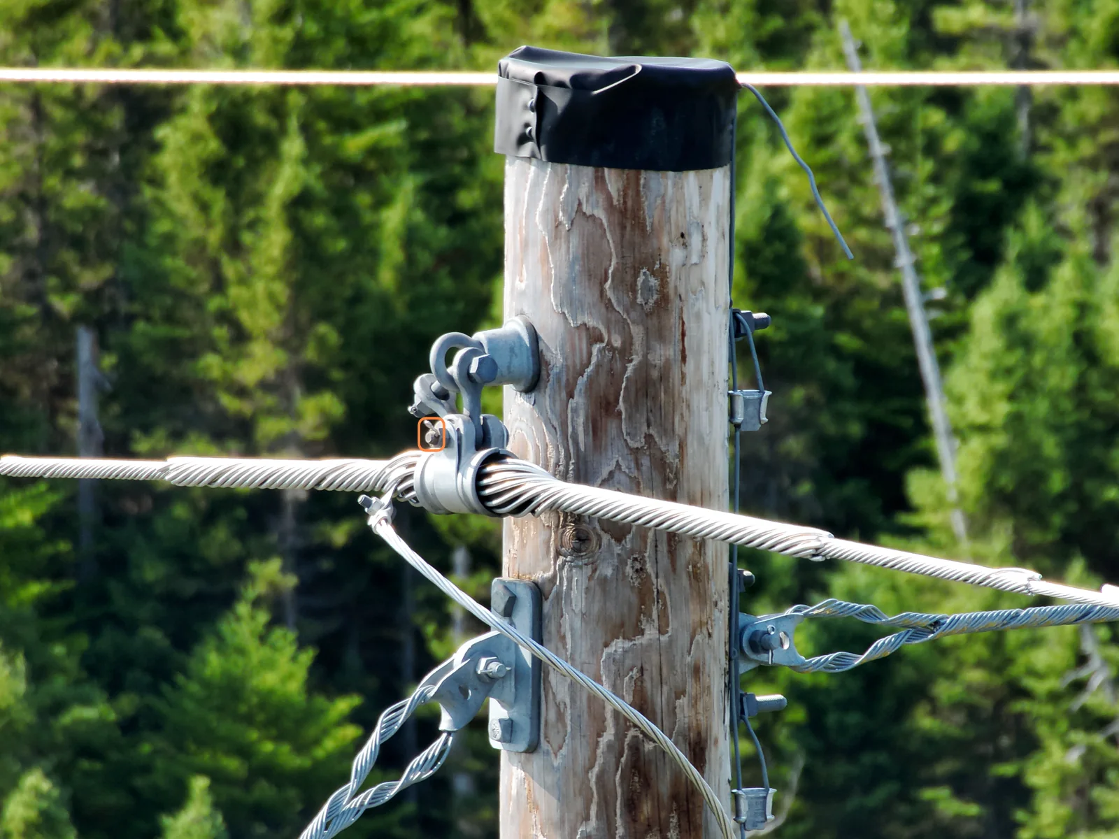 Aerial close-up of wood pole top clamp and conductor hardware