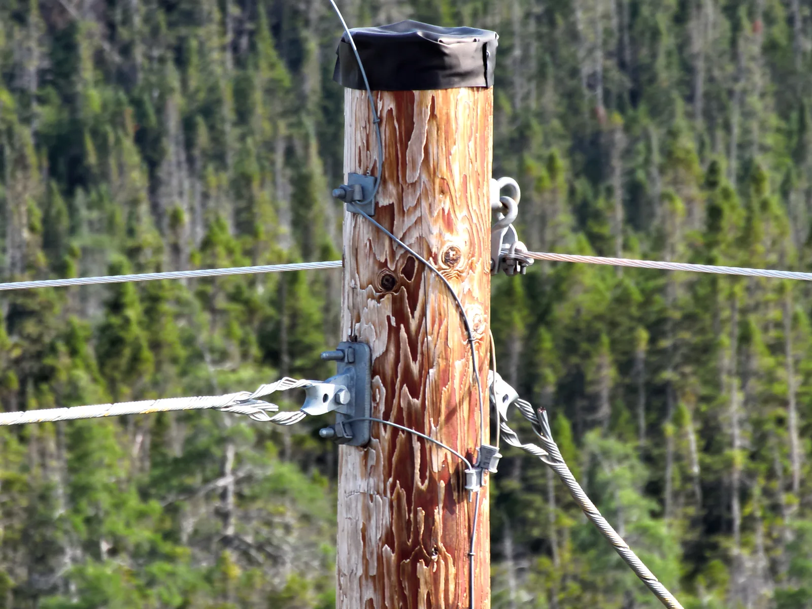 Drone close-up of weathered pole-top hardware showing asset aging